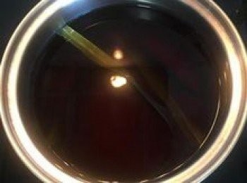 step3: 夾出棕櫚葉後，放入黑糖和棕櫚糖煮溶，