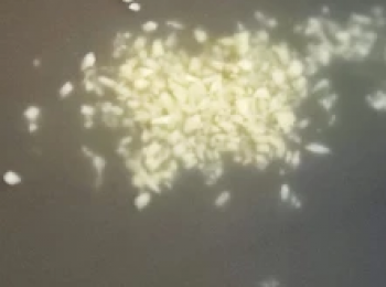 step6: 用油起鑊爆香薑末