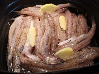 step1: 網底掃油預熱空氣炸鍋200度5分鐘，放魚放幾片薑焗10分鐘。瘦肉汆水備用。