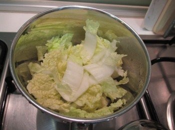 step4: 倒入昆布柴魚高湯蓋鍋蓋煮至白菜微軟.