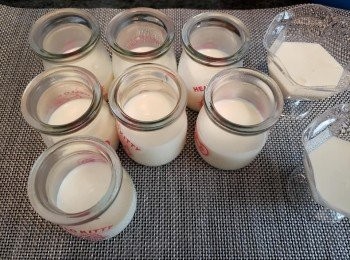 step6: 然后倒入容器內雪至凝固。