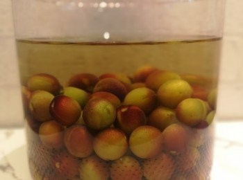 step7: 梅和酒入樽後蓋蓋收藏在陰涼地方，一個月後落150克糖，第二個月再落150克，第三個月可試味，再決定冰糖份量，冰糖可加可減，甜度按個人口味。