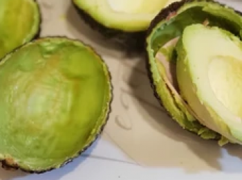 step2: 起出牛油果肉，保留下外殼，把朱古力隔水熱熔成朱古力漿