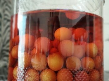 step8: 顏色會越嚟越出。釀製時間一般最少三個月至一年，我通常釀製一年時間。