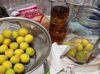 step1: 先將梅子用水洗淨放 筲箕灣涼乾水分，將 梅子在陽光底下涼曬透乾至表面乾爽