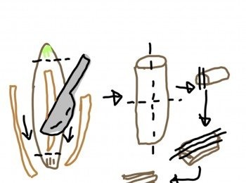 step3: 跟住用刀批咗白色部分嘅表皮(表皮口感粗糙吾好食)，
留返爽嫩白色部份(如圖變成圓柱)切開一半，
將半圓柱切成片，再將片切成絲備用