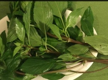 step2: 一束九層塔。