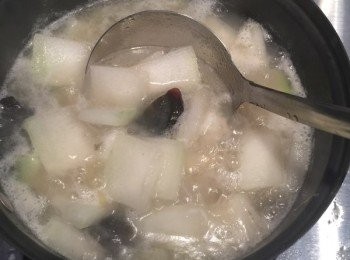 step3: 往鍋裡加入足量的水，煮開，然後落冬瓜，煮熟加鹽調味即可。喜歡吃蔥，可以加滴蔥花。