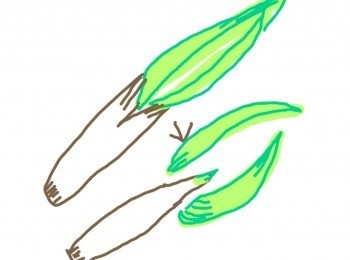 step2: 處理茭白方法
首先除去左上面綠色部份，只要白色部份