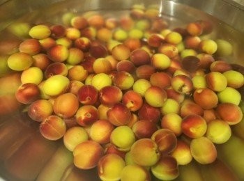 step1: 鹽加水攪勻，梅用鹽水浸15分鐘。