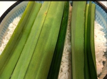 step2: 班蘭葉洗淨切段，將2/3班蘭葉分別舖底及面，與糯米同蒸40分鐘。