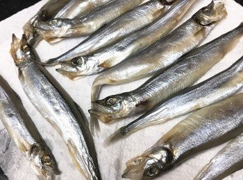 step1: 用廚紙把<a href="https://cook1cook.com/shop/item/741?utm_source=cook1cook&utm_medium=recipeingredients&utm_campaign=o" target="_blank" data-keyword="多春魚" class="guide-link"><strong>多春魚</strong></a> <span style="display:inline-block;vertical-align:middle;margin-top:-3px;color:initial;border-radius:3px;padding:2px 3px;font-size:12px;line-height:14px;background:#87d300;color:#fff;">即買</span> 水份抺去。