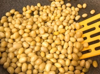 step2: 熱鑊後白鑊（不加油）以中火把黃豆炒至外皮微微爆開，其間不停炒動。