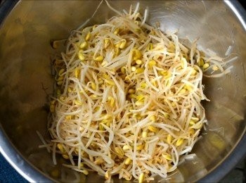 step4: 黃豆芽降溫後瀝乾水份