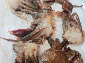 step2: 軟殼蟹解凍後，洗淨外殼，在蟹眼睛的兩側掀開小縫，小心地除去鰓及蟹蓋嘴上方之胃袋，並拭乾水份和灑上少許胡椒粉。