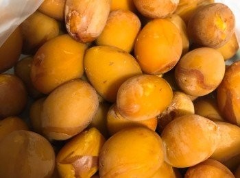 step2: 去皮後的種仁猶如1枚小鳥蛋。