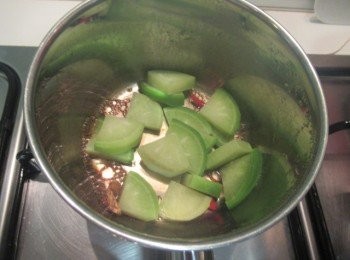 step3: 倒入昆布柴魚高湯,再滾加蓋煮至青蘿蔔微軟.