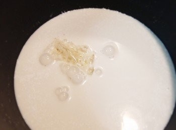 step6: 加入已浸軟的魚膠片，煮至融化混合成布甸漿.