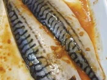 step3: 將<span class="group_2">醃料</span>均勻塗抹在魚身，醃一日。將鯖魚放上焗盤，魚皮噴上少許油，放入焗爐用180度焗20-25分鐘，焗至表面金黃，香噴噴的鯖魚便成。食時可擠上檸檬