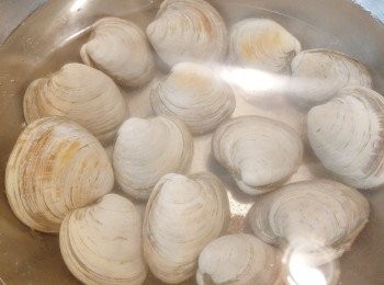 step2: 將每隻蜆洗刷乾淨，把3至4茶匙鹽放入水中，將鹽拌勻，讓蜆浸1小時。