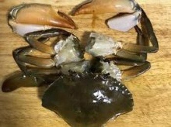 step3: 清洗螃蟹，用刷子將螃蟹殼都刷洗乾淨，接著拿尖刀從蟹心刺入，便可以除去綁繩，卸下蟹螯，將蟹腳和螯刷洗乾淨；剪去腹部和蟹腸；扳開蟹殼，除去蟹殼上的蟹嘴，再除去螃蟹身上兩邊的蟹腮和正中間的蟹心；將蟹身切成4塊；