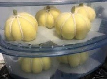 step17: 發酵完成後，冷水開火蒸18分鐘。（發酵過頭的話也會影響脫繩的困難度！）