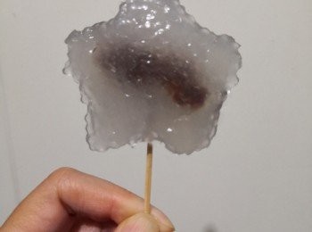 step2: 用矽膠模掃上小許椰子油先鋪入第一層西米（佔模1/4左右）