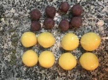 step13: 將<span class="group_3">內餡</span>等分成@20gX8顆（用紅豆泥也很適合喔～）；