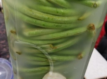 step1: 豆角洗淨，不用去頭尾
乾燥的玻璃樽，倒入大量洗米水，倒入粗鹽、糖混合，豆角分幾次卷起，擺入樽內，倒入蒜頭、指天椒，密封擺陰涼處，圖一為醃了1日後的