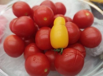 step1: 砂糖加入熱水中煮溶後熄火，再加入話梅和蜜糖拌勻備用，蕃茄仔洗淨後，底部表皮用刀劃十字