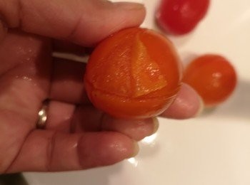 step2: 準備一鍋熱水，加入蕃茄煮大約30秒至1分鐘，蕃茄表皮略為爆開，盛起蕃茄，用冰水浸蕃茄
蕃茄冷卻後去皮。