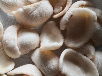 step2: 放入微波爐轉盆上，開中火500左右扭3分鐘