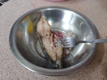 step1: 鹹魚先蒸10分鐘，待稍涼後用叉把肉搓成蓉 (需30克肉)*****

TIPS:
不同種類鹹魚鹹味不一， 我會在下蛋白前煎一丁點試味，如不夠鹹再用下剩的鹹魚蓉<span class="group_2">調味</span>