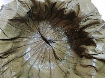 step10: 將處理好的荷葉放入一大深碗內。