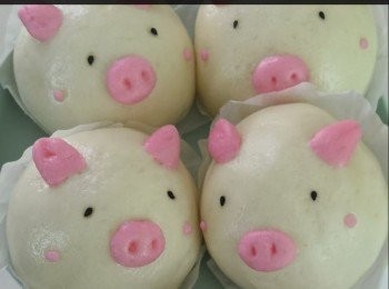 step9: 可以開食！