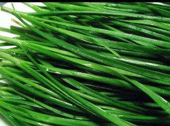 step1: 韭菜洗完晾乾切細