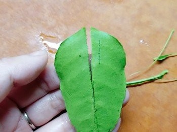 step3: 檸檬葉洗淨去掉中間的梗。
