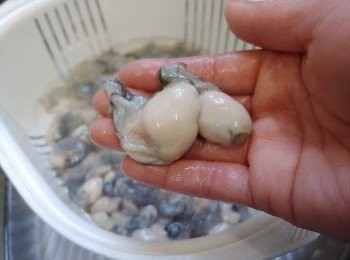 step5: （蠔仔務必要徹底洗乾淨）