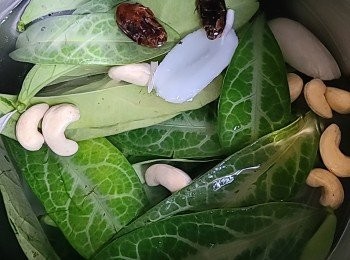 step2: 將所有材料凍水落先煲約2小時（除魚腥草外）。 魚腥草不宜久煮 ，避免成分喪失，滾 15 分鐘左右便可。