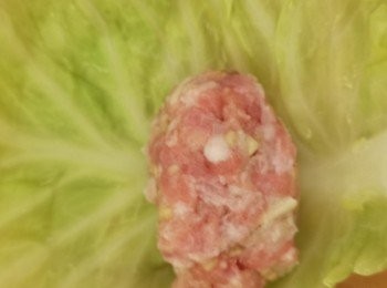 step4: 免治豬肉加入醃料攪勻，加入預留的大啡菇蝦滑，兩種材料混合，攪拌到起膠，餡料可放雪櫃備用。椰菜冷卻後，根的較厚部分切去，餡料平均分十份，每葉放上一份餡料捲成椰菜卷，可用鉸剪修齊椰菜葉。