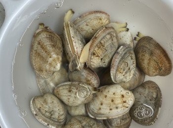 step1: 花甲浸水30分鐘，期間換水2-3次