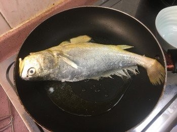 step4: 黃花魚用紙巾抹乾水後，加上適量粟粉塗勻魚身，後放下已燒熱的油鑊（用中火）上煎。