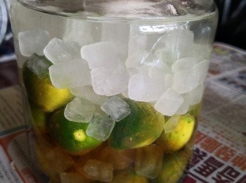 step4: 用一個已清洗消毒好的玻璃瓶，放入已去青檸蒂及切半挑去裡面的核，放一層在樽底