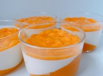 step4: 布丁成型後鋪滿一層芒果溶裝飾就完成