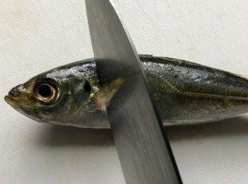 step1: 將魚頭切掉