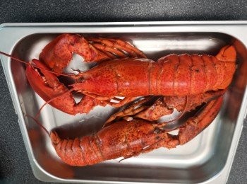 step1: 龍蝦解凍後放入蒸爐，溫度80度，蒸5分鐘，之後取出浸飲用冰水降溫。如果選用明火，水滾後放入龍蝦，轉細火蒸3分鐘焗2分鐘。（有人會解凍後直接食用，所以可隨自己喜歡。）