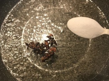 step2: 足量的水裡放入八角煮滾，加入鹽和糖煮溶；