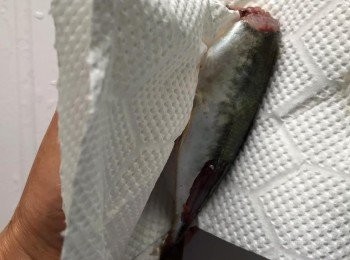 step5: 用厨房紙巾將水分吸乾