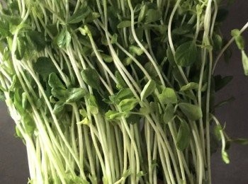 step1: 洗淨豆苗、蟹菇、車厘茄切半、甘荀用薑礳礳成蓉備用