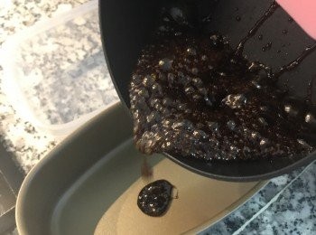 step3: 將糖漿均勻的倒在模具中；